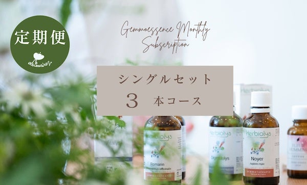 シングル 3本コース