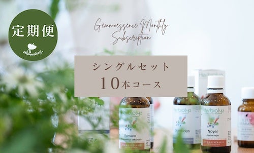 シングル 10本コース